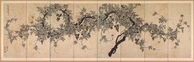 Szőlőtő alkotó: Choe Seok hwan