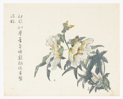 Mustármagos kert alkotó: Chou Huang (after)