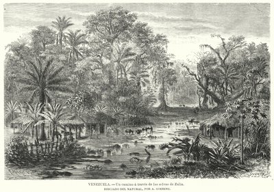 Ösvény Zulia dzsungelében, Venezuela (litho) alkotó: Christian Anton Goering