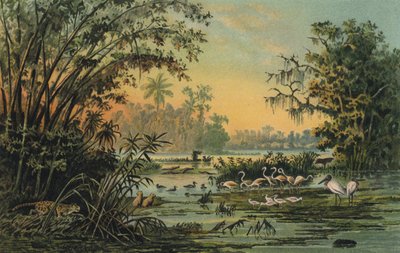 Vadvilág Orinoco középső részén, Venezuela alkotó: Christian Anton Goering