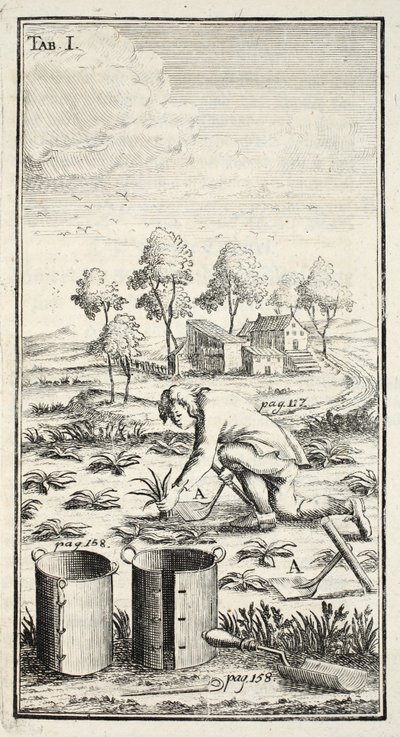 Kertész Betakarítás, kocsma. Erfurt Türingiában, 1753-55 alkotó: Christian Reicharts