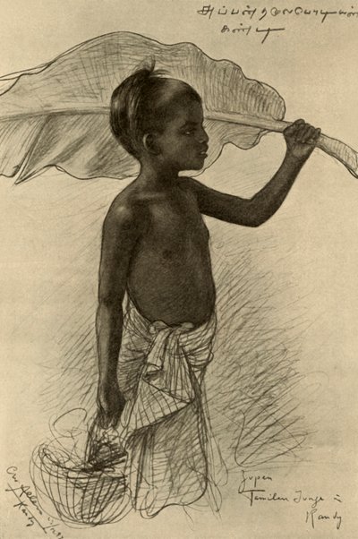 Tamil fiú, Kandy, Ceylon, 1898. alkotó: Christian Wilhelm Allers