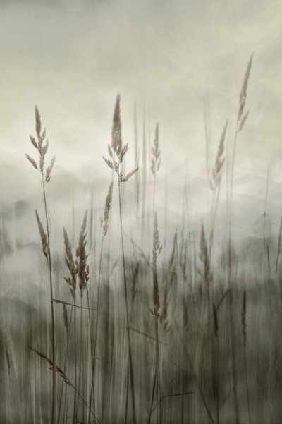  alkotó: Christina Sillen