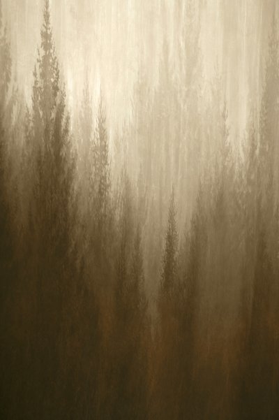 Erdőköd alkotó: Christina Sillen