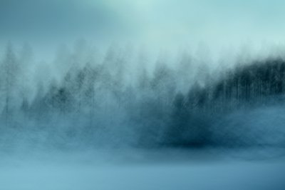 Ködös kék erdő alkotó: Christina Sillen