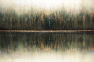 Ködös erdő tükröződése alkotó: Christina Sillen