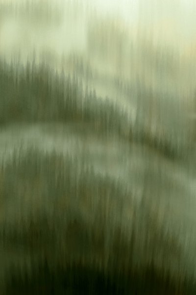 A ködös erdő nyugalma alkotó: Christina Sillen