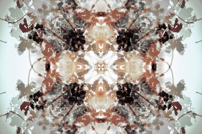Halk botanikai kaleidoszkóp alkotó: Christina Sillen