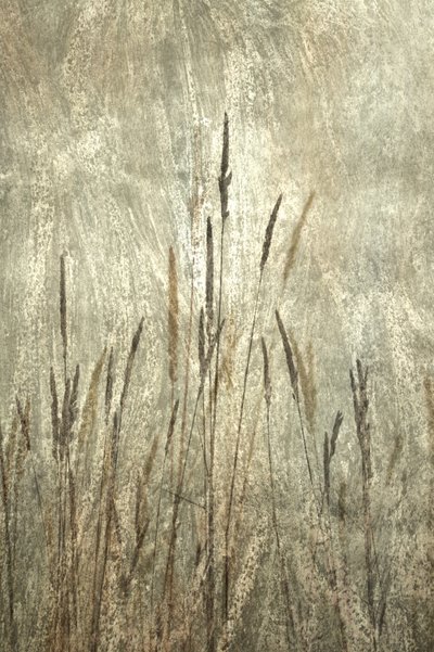  alkotó: Christina Sillen
