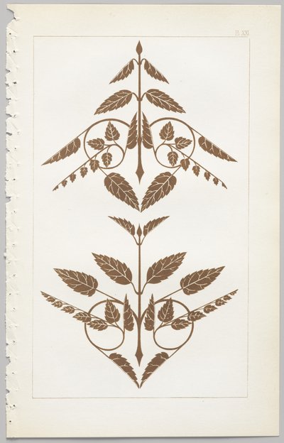 A dekoratív tervezés művészete: egy függelék, amely megadja a nap óráit, amikor a virágok nyílnak, kiadó: Day & Son, London, 1862 alkotó: Christopher Dresser