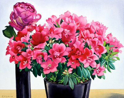 Azalea Rose alkotó: Christopher Ryland