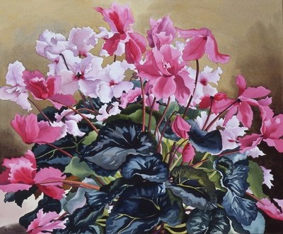 Ciklámen, 2004 (akvarell, papír) alkotó: Christopher Ryland