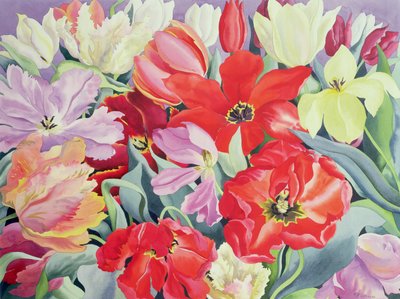 Tömeges tulipánok, 2003 (wc papíron) alkotó: Christopher Ryland