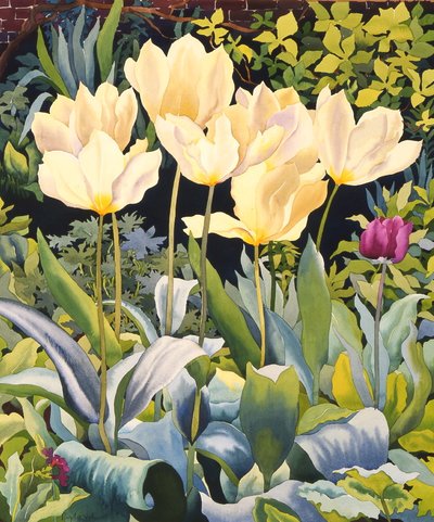 Fakó tulipánok (akvarell, papír) alkotó: Christopher Ryland