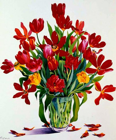 Tulipán (wc papíron) alkotó: Christopher Ryland