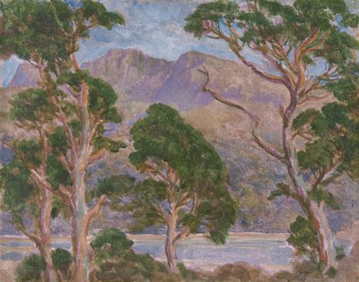 Cader Idris (olaj, vászon) alkotó: Christopher Williams