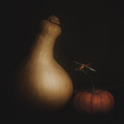  alkotó: Cicek Kiral