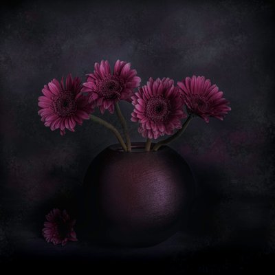 Sötét gerbera csendélet alkotó: Cicek Kiral