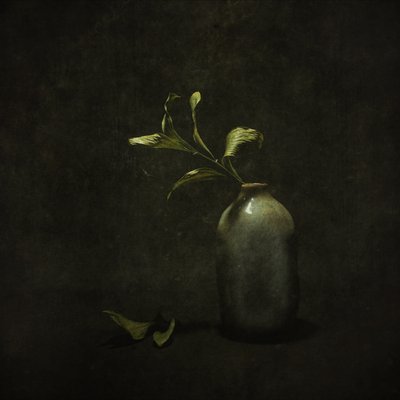Moody botanikai csendélet alkotó: Cicek Kiral