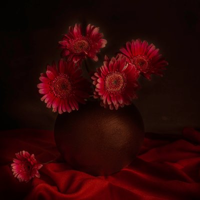Melankolikus gerbera-csendélet alkotó: Cicek Kiral