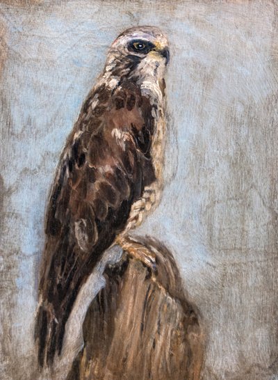  alkotó: Claire Lerner