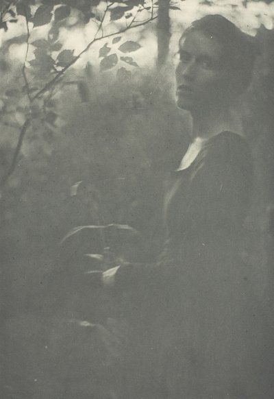 Edge of Woods, c. 1899. alkotó: Clarence H White