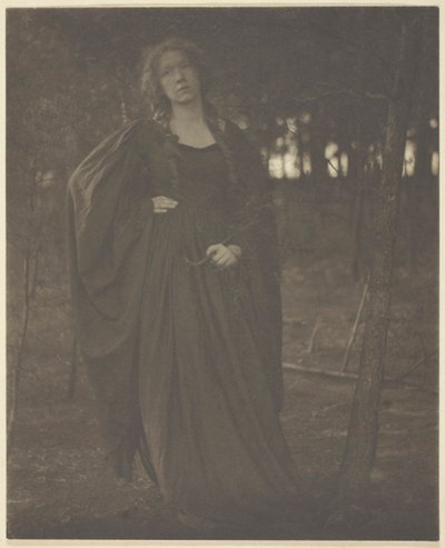 Cím nélkül [asszony az erdőben], 190105. alkotó: Clarence H White