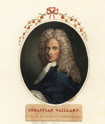 Sebastian Vaillant francia botanikus portréja alkotó: Claude Aubriet