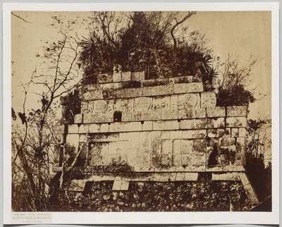 A cirkusz palotája Chichen-itza-ban (tigrisek domborműve) alkotó: Claude Joseph Désiré Charnay