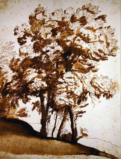 Fák csoportja napfényben (toll és tinta, valamint papírra mosás) alkotó: Claude Lorrain