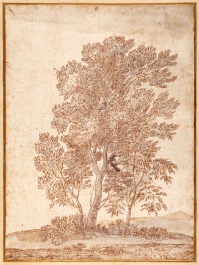 Három fa (toll és barna tinta szürke mosással a papíron) alkotó: Claude Lorrain