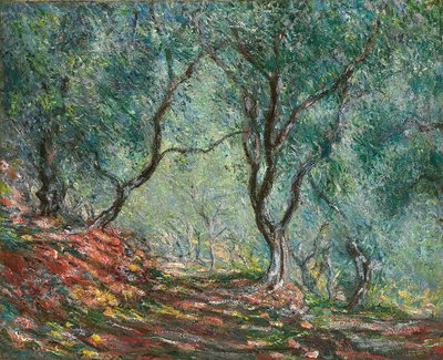 Olajfák a Moreno kertben; Olajfaliget a Moreno kertben, 1884 alkotó: Claude Monet