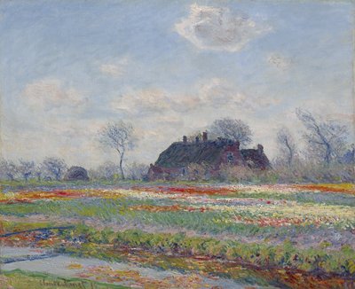 Tulipán mezők Sassenheimben, 1886 alkotó: Claude Monet