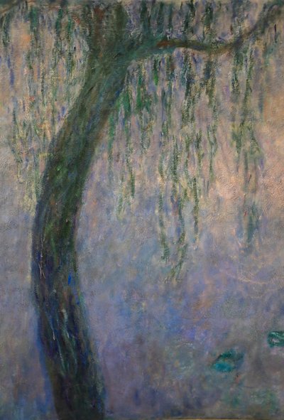 Tavirózsa (olaj, vászon) alkotó: Claude Monet