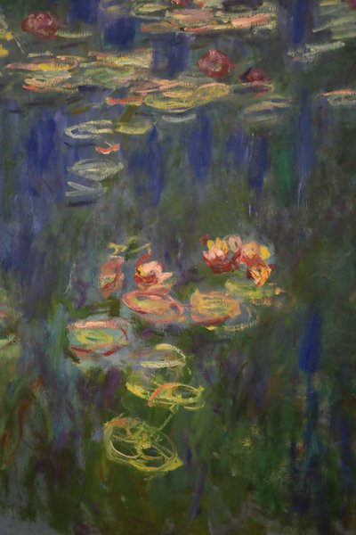 Tavirózsa (olaj, vászon) alkotó: Claude Monet