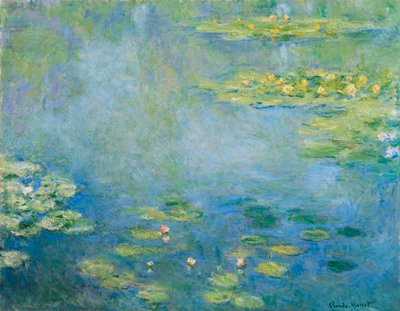 Tavirózsa, c. 1906 alkotó: Claude Monet