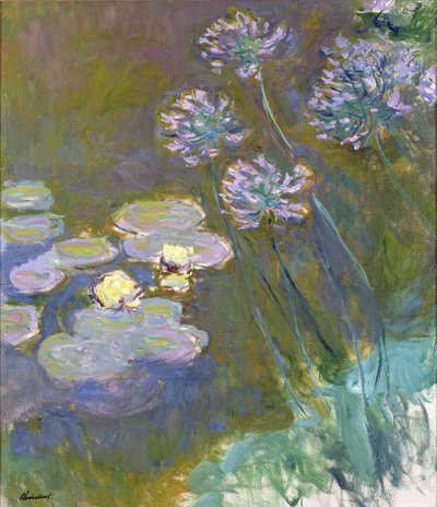 Tavirózsa és Agapanthus alkotó: Claude Monet