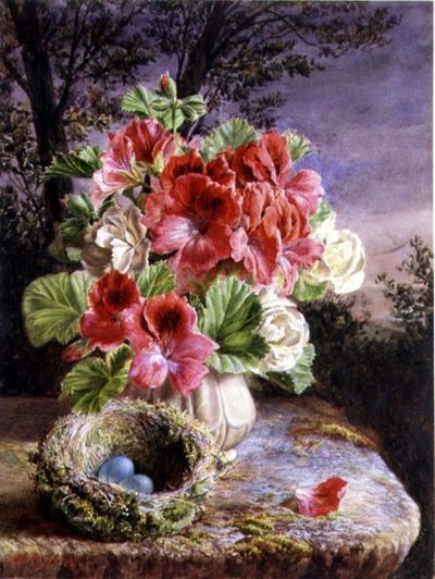 Gloxinia és madárfészek alkotó: Claude Ryan