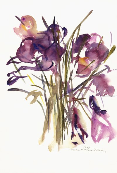 Krókusz, 2003 (akvarell) alkotó: Claudia Hutchins Puechavy
