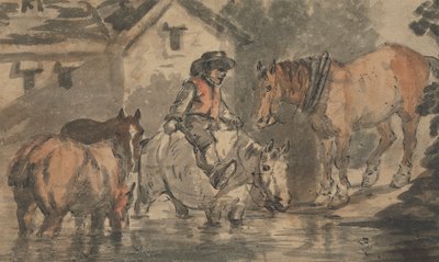 Férfi itatás négy lovat alkotó: Conrad Gessner