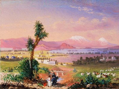 Kilátás Mexikóvárosra alkotó: Conrad Wise Chapman