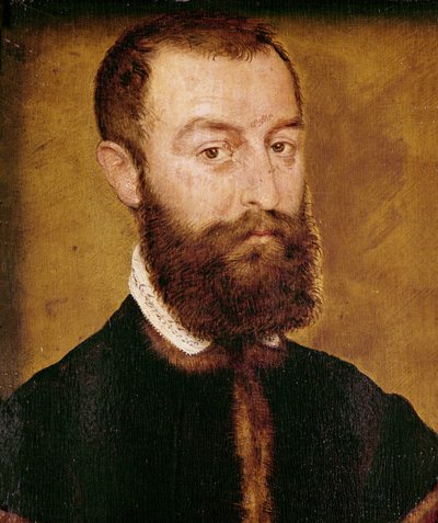 Szakállas férfi portréja vagy barna hajú férfi portréja alkotó: Corneille de Lyon