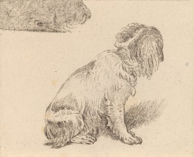 Ülő kutya, 1777. alkotó: Cornelis Brouwer