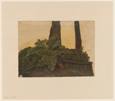 Növények egy fatörzs tövében alkotó: Cornelis Johannes de Vogel