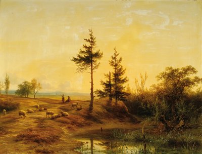 Kiterjedt cserje táj alkotó: Cornelis Lieste