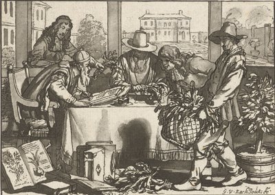 botanikus alkotó: Cornelis Ploos van Amstel (signed by artist)