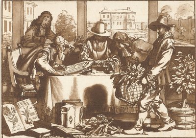 botanikus alkotó: Cornelis Ploos van Amstel (signed by artist)