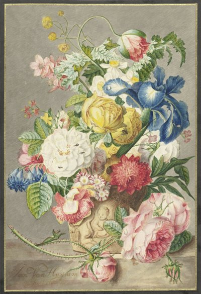 Csokor alkotó: Cornelis Ploos van Amstel