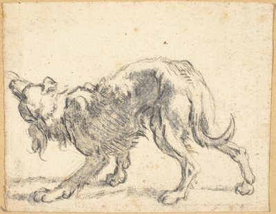 Egy kutya alkotó: Cornelis Saftleven