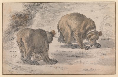 Medve különböző testhelyzetekben alkotó: Cornelis Saftleven